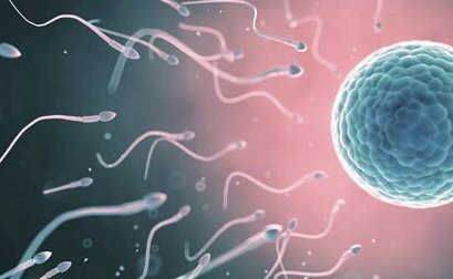 泰国哪可做第三代试管婴儿？专业医院推荐！