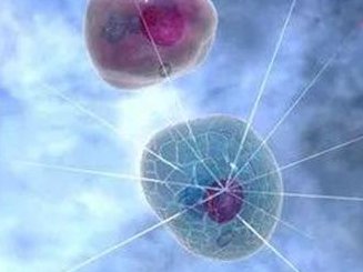 皇家生殖遗传医院的优生优育技术与试管婴儿的关系