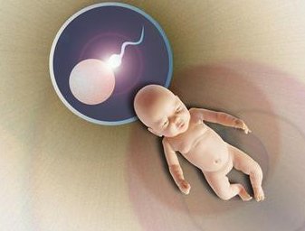 详细解读泸水市做长方案试管婴儿费用，长方案和短方案成功率有差别吗？