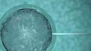 多囊卵巢吃阿胶传言多，真有好处还是会加重病情？